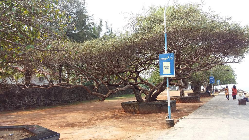 ニヤ ネスト ホームステイ Kochi エクステリア 写真